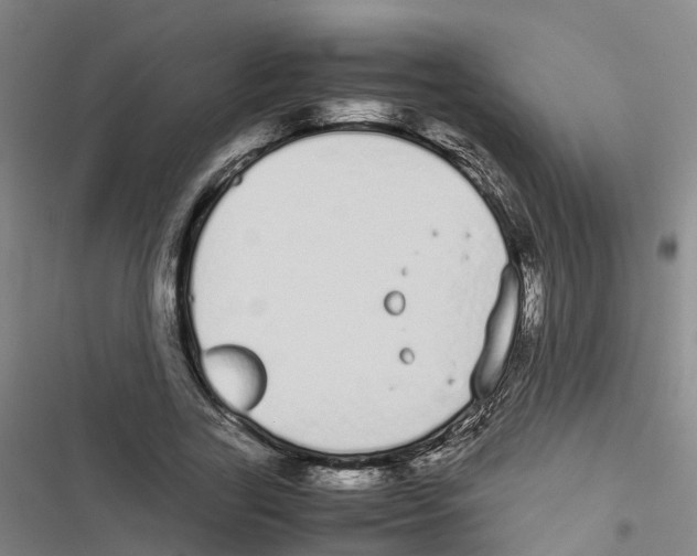 X0000116840731201001151246