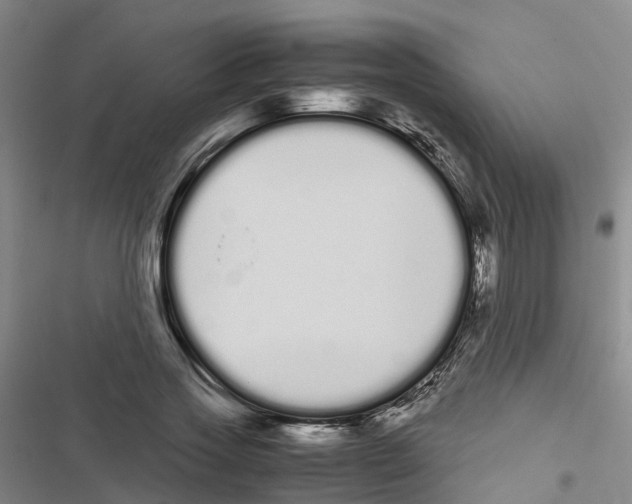 X0000116840733201001151246