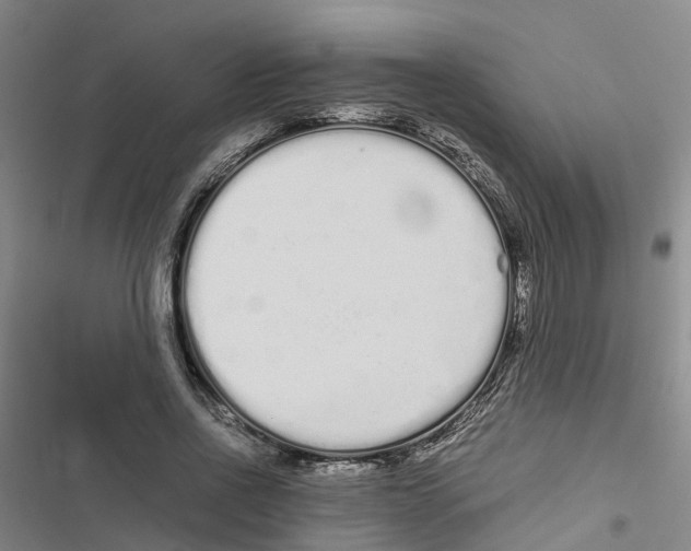 X0000116840734201001151246