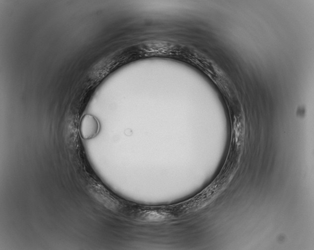 X0000116840737201001151247