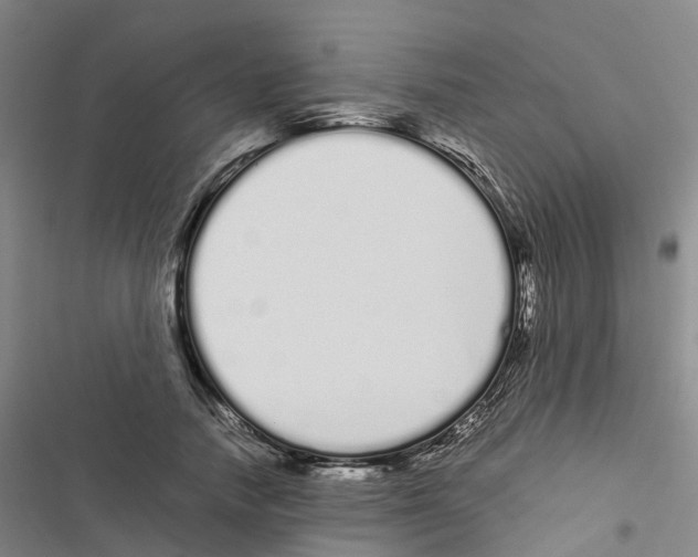 X0000116840738201001151247