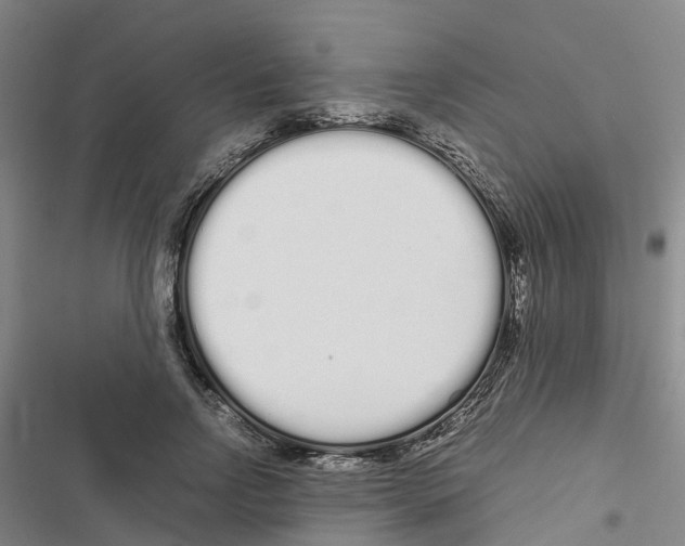 X0000116840742201001151247