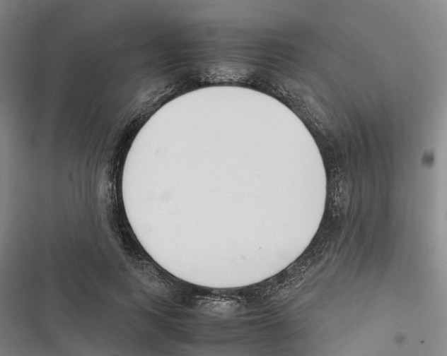 X0000116840743201001151247