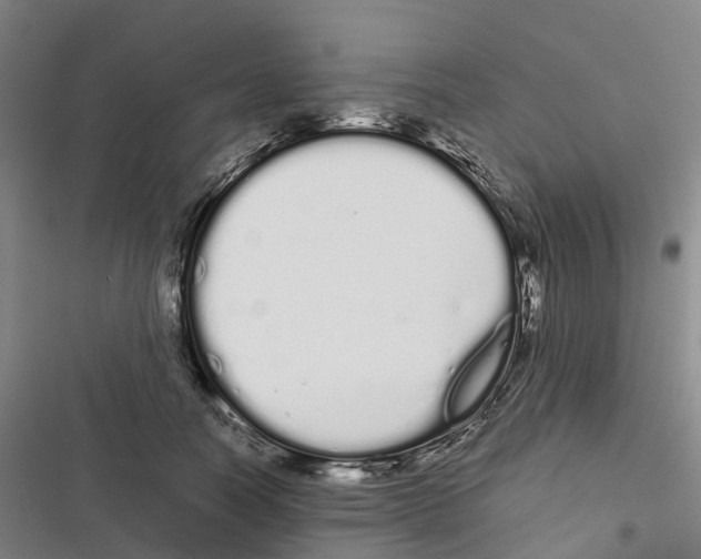 X0000116840746201001151247