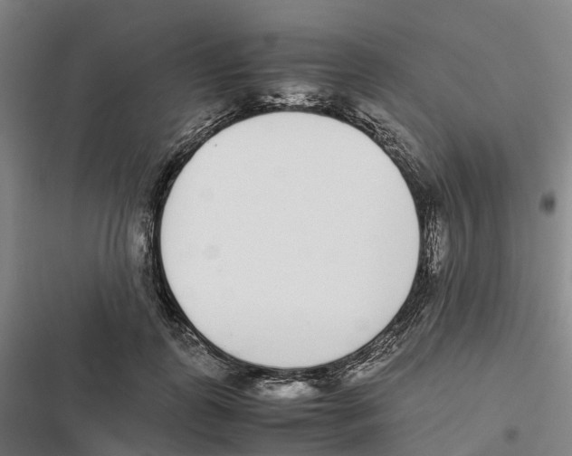 X0000116840747201001151247