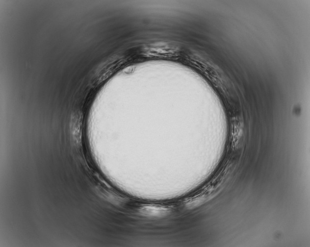 X0000116840749201001151247
