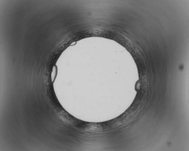 X0000116840750201001151247
