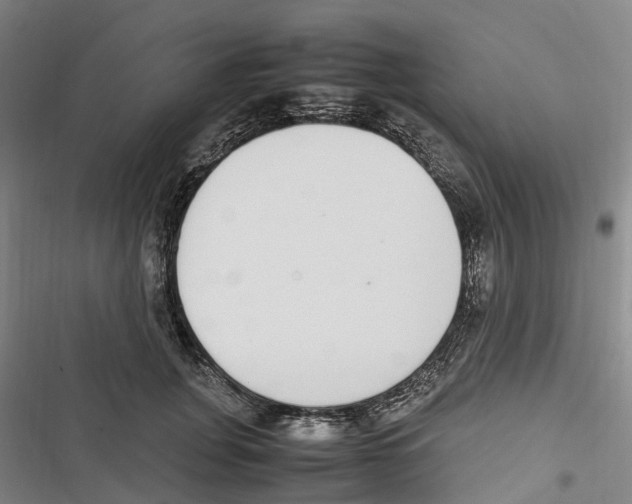 X0000116840751201001151247