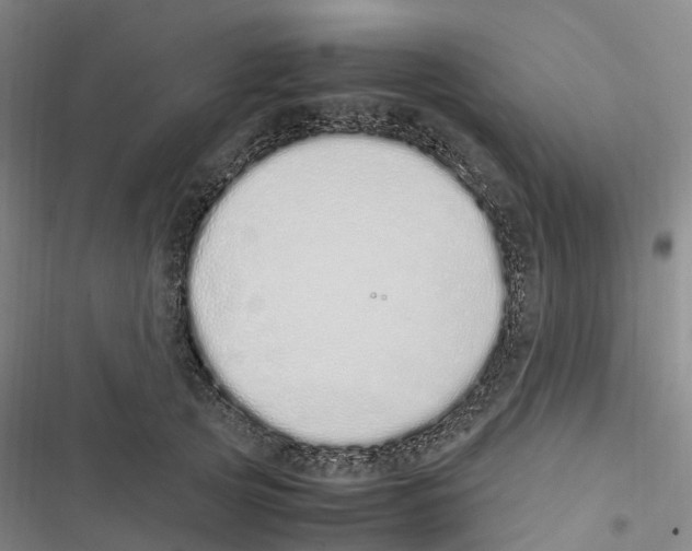 X0000116840753201001151247