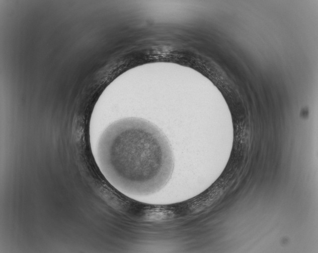 X0000116840754201001151247