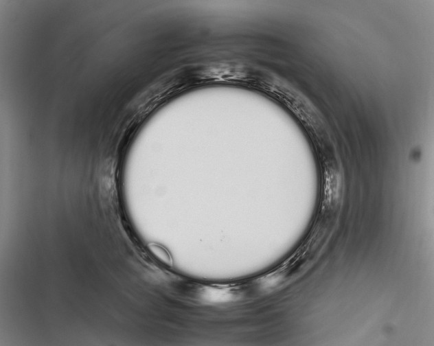 X0000116840757201001151247