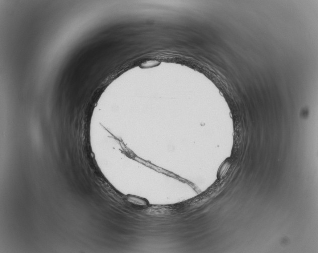 X0000116840762201001151247