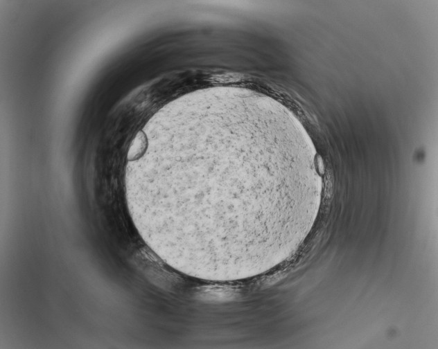 X0000116840763201001151247