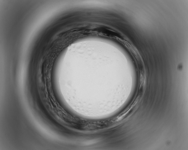 X0000116840765201001151247