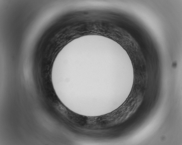X0000116840766201001151247
