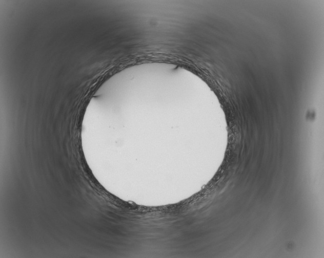 X0000116840769201001151246