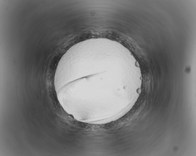 X0000116840770201001151246