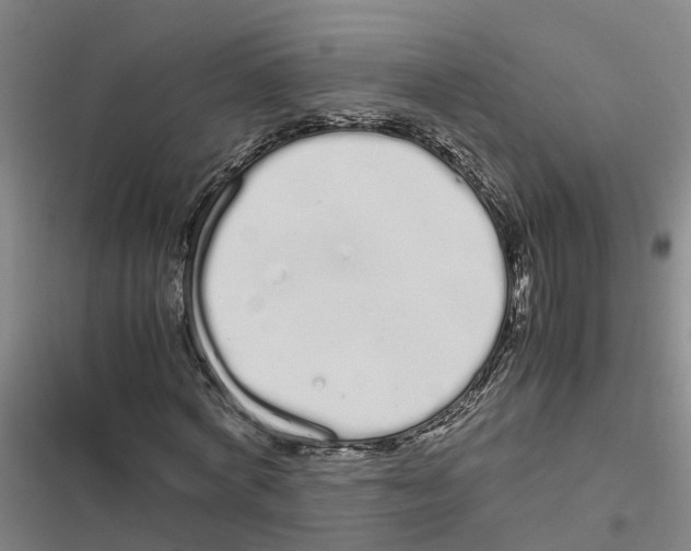 X0000116840772201001151246