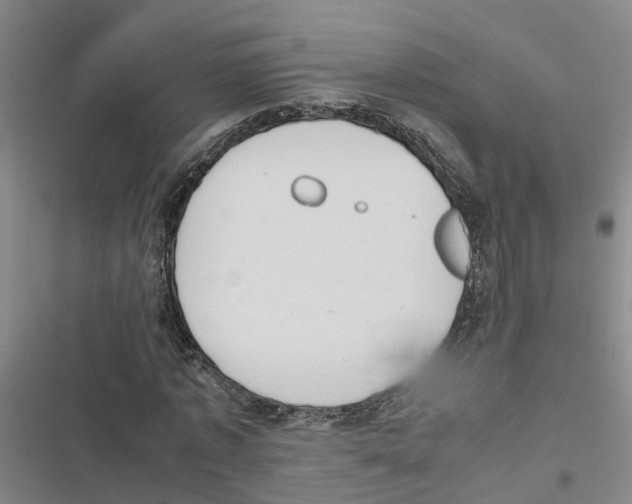 X0000116840773201001151246