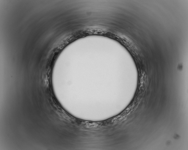 X0000116840774201001151246