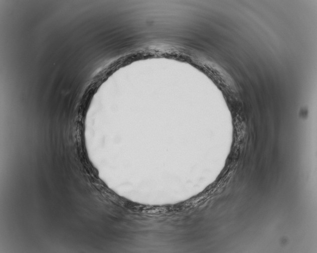 X0000116840776201001151246