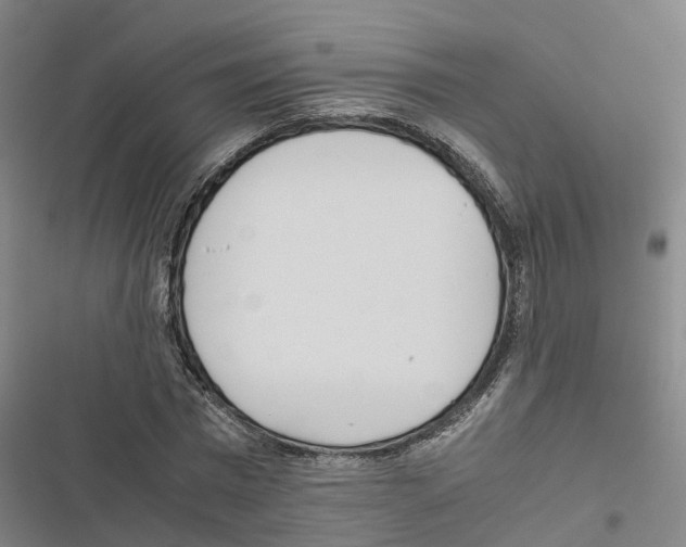 X0000116840777201001151246