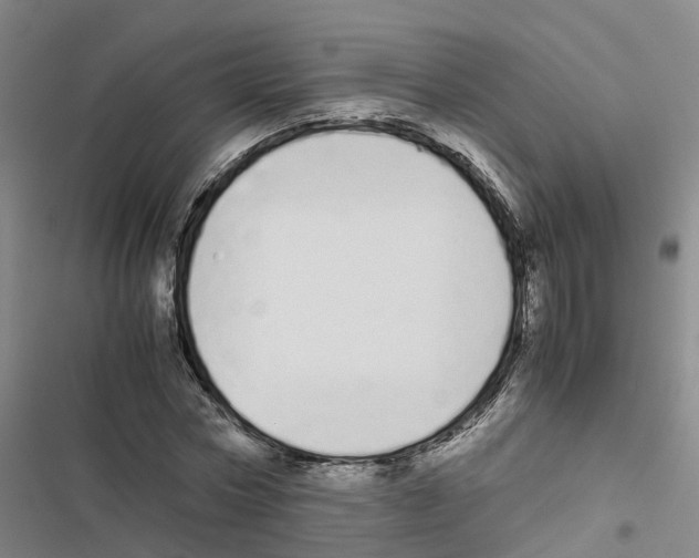 X0000116840778201001151246