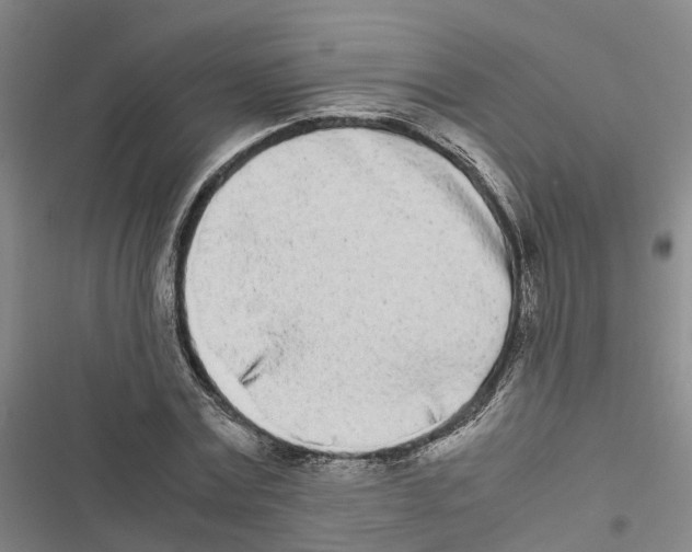 X0000116840779201001151246