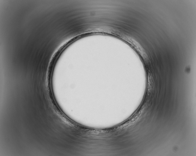 X0000116840780201001151246