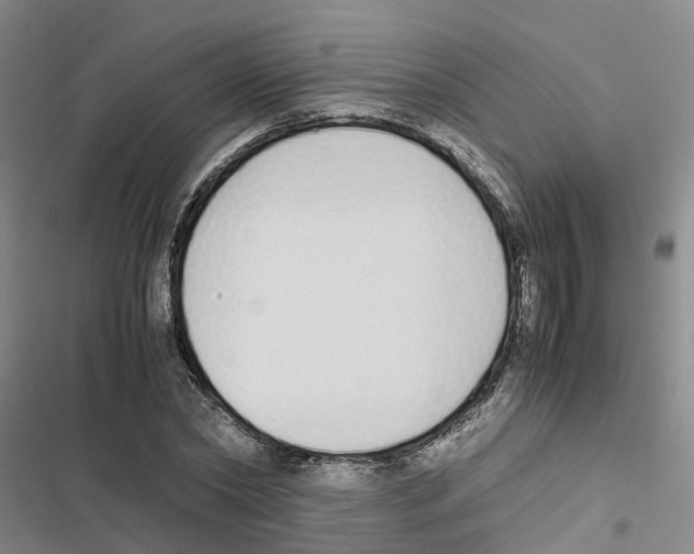 X0000116840782201001151246