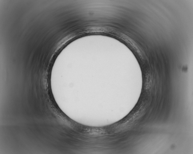 X0000116840786201001151246