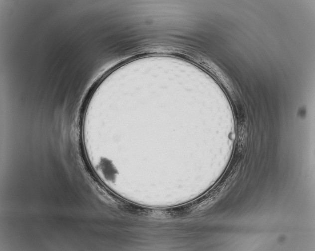 X0000116840787201001151246