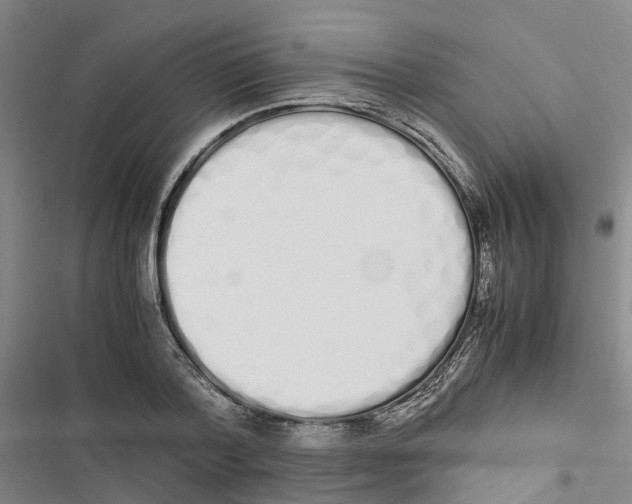 X0000116840788201001151246