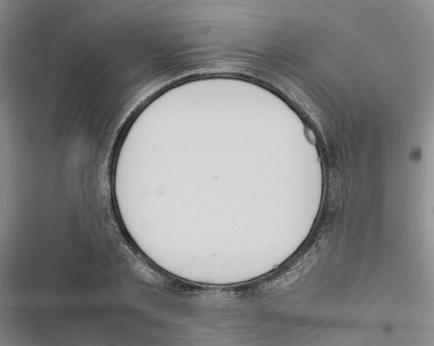 X0000116840789201001151246