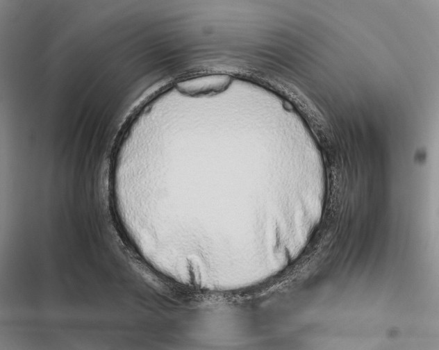 X0000116840790201001151246