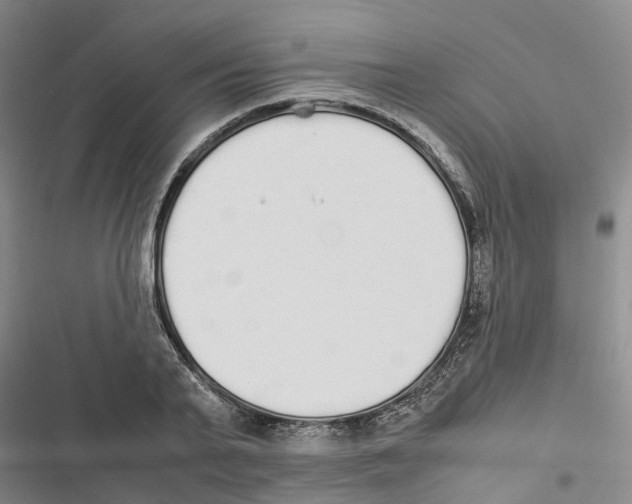 X0000116840791201001151246