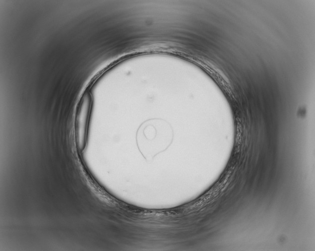 X0000116840792201001151246