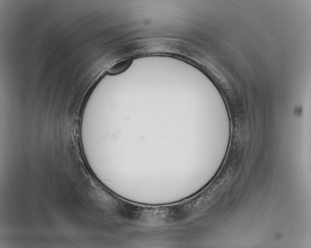 X0000116840793201001151246