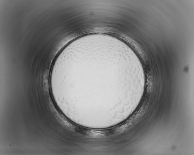 X0000116840794201001151246