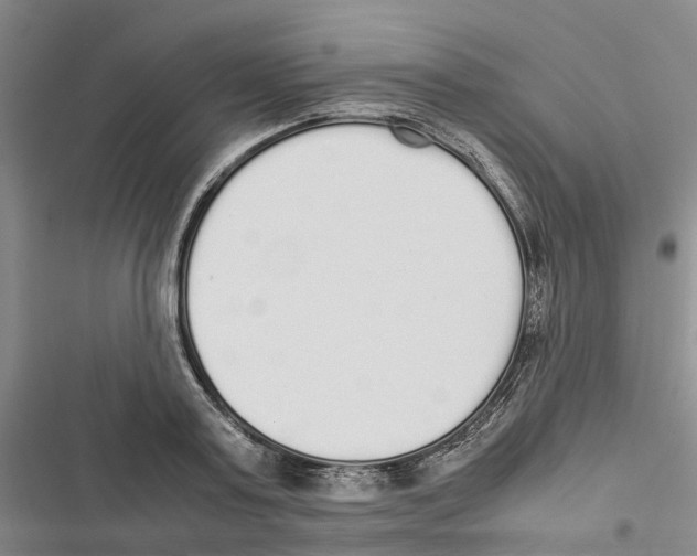 X0000116840795201001151246