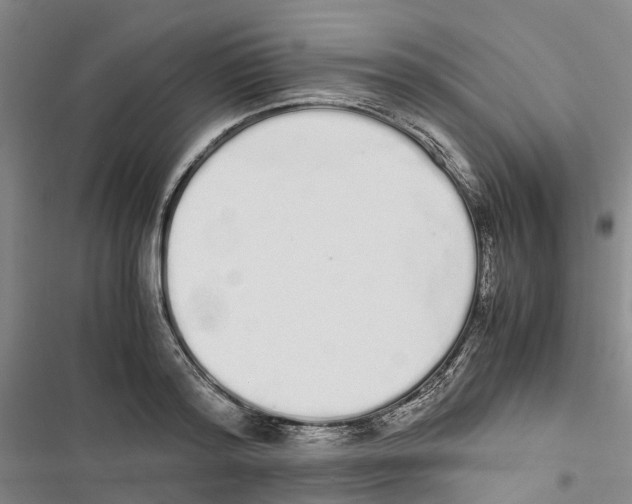 X0000116840796201001151246