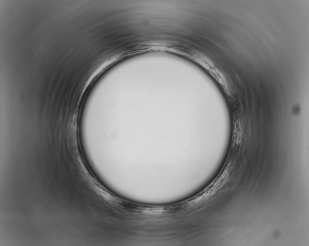 X0000116840798201001151246