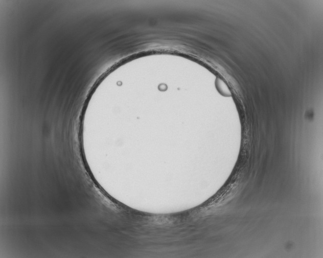 X0000116840799201001151246