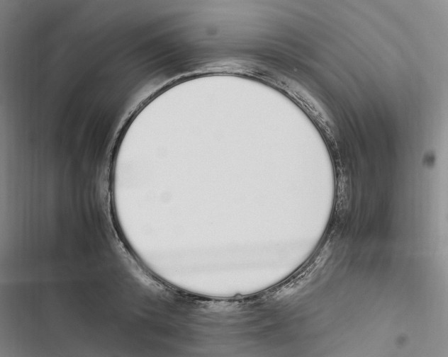 X0000116840800201001151246