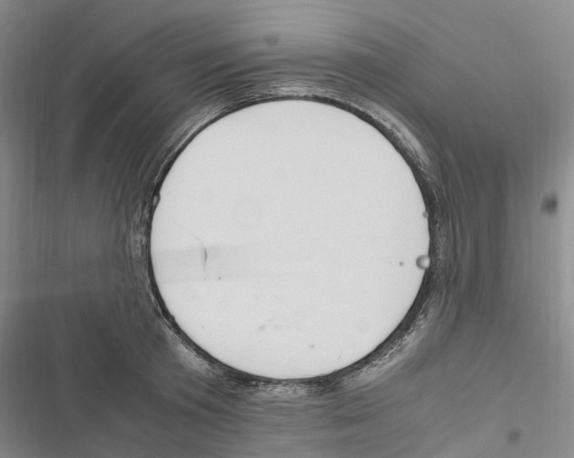 X0000116840801201001151246