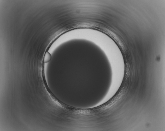 X0000116840802201001151246