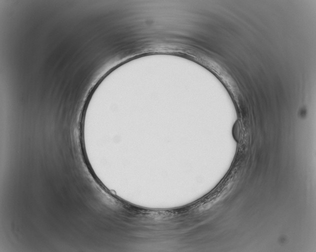 X0000116840803201001151246