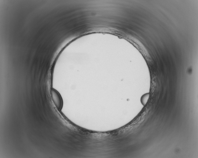 X0000116840804201001151246