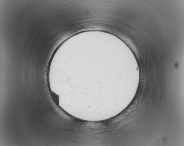 X0000116840805201001151246