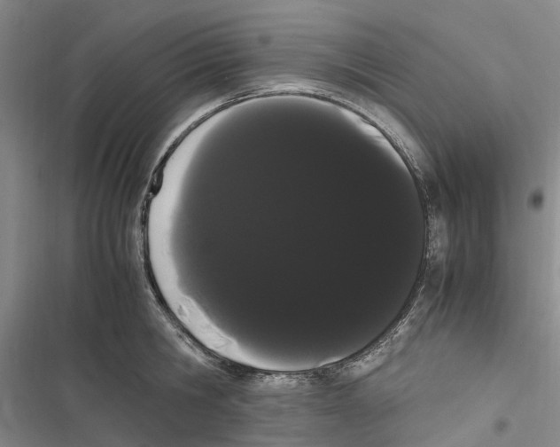 X0000116840806201001151246